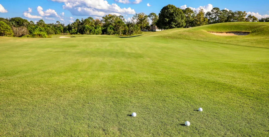 Homes in Palm Beach Gardens, FL